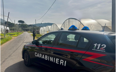 Sequestrati sgambatoi e ricoveri per cani abusivi a Faleria