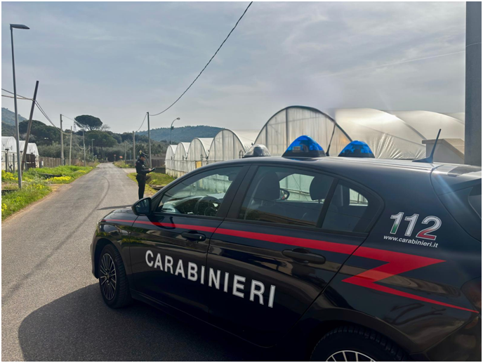 Sequestrati sgambatoi e ricoveri per cani abusivi a Faleria