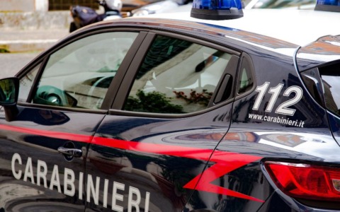 Sequestrati sgambatoi abusivi per cani a Faleria, denunciato il proprietario