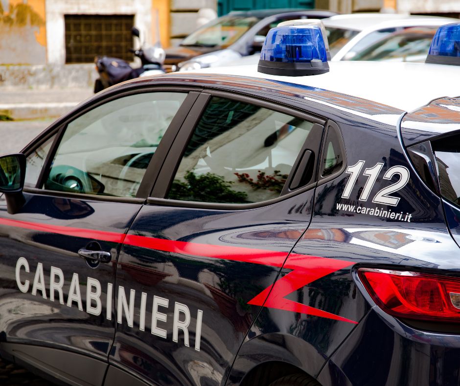 Sequestrati sgambatoi abusivi per cani a Faleria, denunciato il proprietario