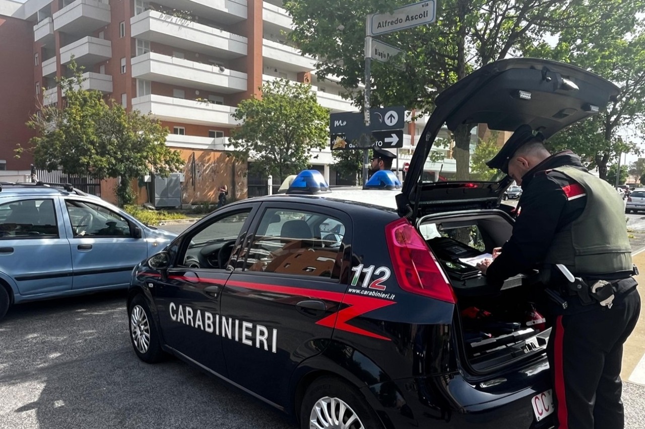 Sequestrato cane molossoide a Viterbo per aggressività