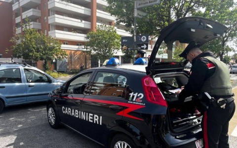 Sequestrato cane molossoide a Viterbo per aggressività