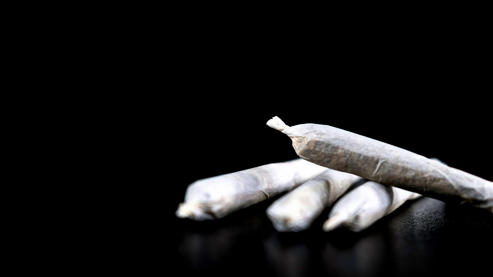 Operazione antidroga a Viterbo: arrestato un uomo e una donna ai domiciliari