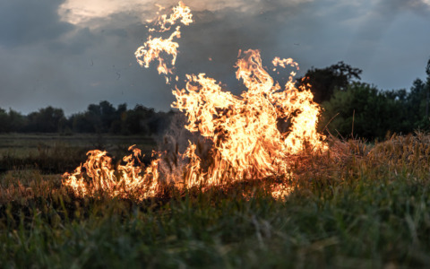 Incendio boschivo tra Orte e Penna in Teverina continua nella notte