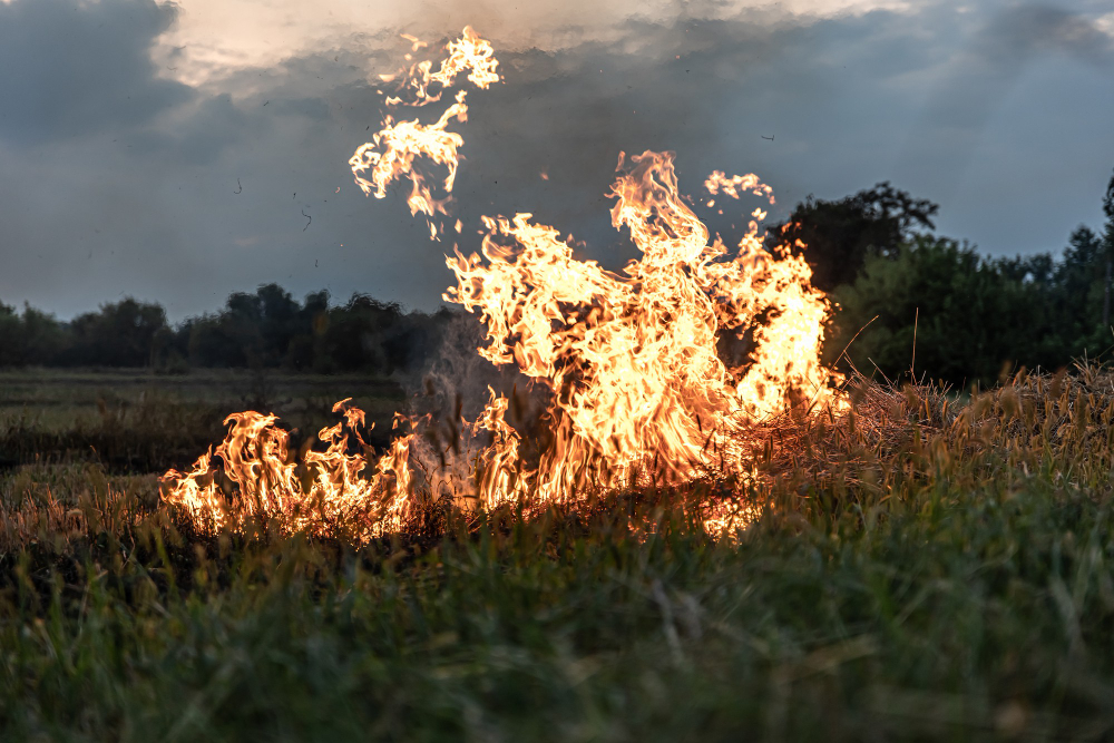 Incendio boschivo tra Orte e Penna in Teverina continua nella notte