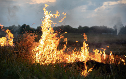 Fiamme nel poligono, spenti due fronti d’incendio