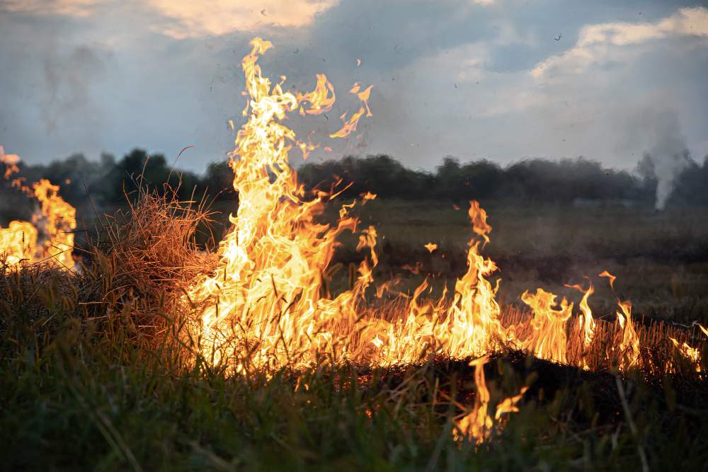 Fiamme nel poligono, spenti due fronti d’incendio
