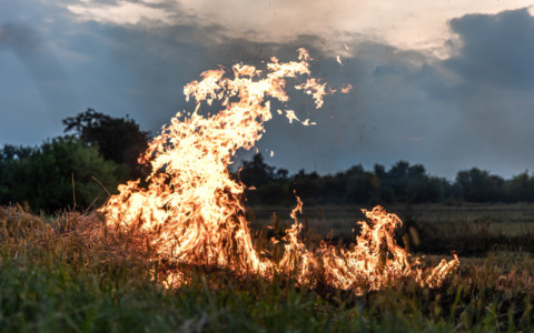 Incendio devastante alla Riserva naturale delle Saline