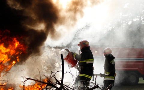 Incendio all’Università Agraria: Filca Cisl Lazio Nord chiede maggiori controlli
