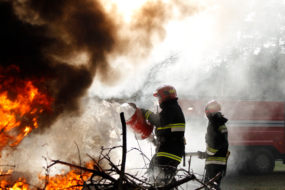 Incendio all’Università Agraria: Filca Cisl Lazio Nord chiede maggiori controlli