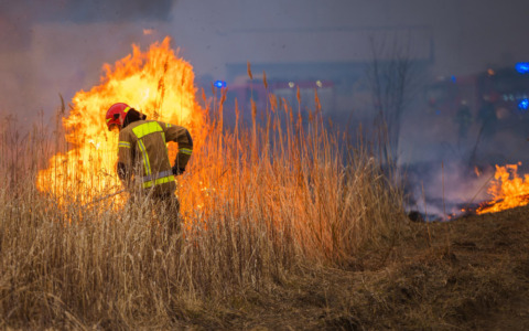 Incendi alle Saline di Tarquinia: sospetti di dolo dopo due roghi