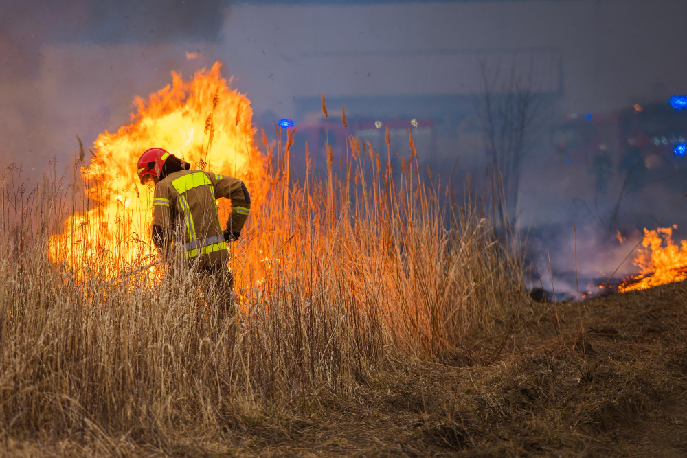 Incendi alle Saline di Tarquinia: sospetti di dolo dopo due roghi