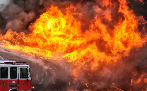 Un anno dopo l’incendio ad Agraria: bilancio e prospettive di recupero