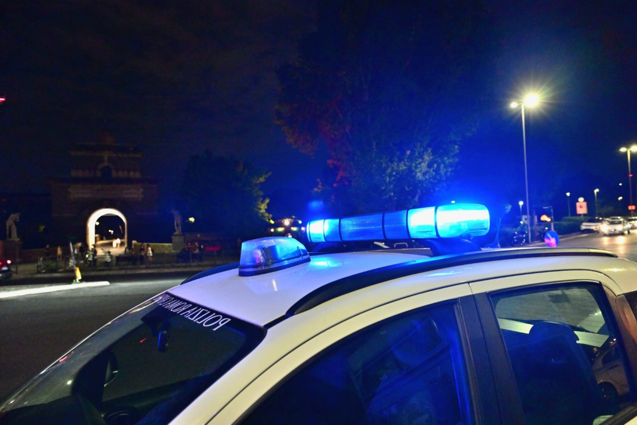 Due aggressioni canine a Tarquinia in tre giorni