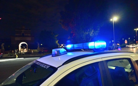 Due aggressioni canine a Tarquinia in tre giorni