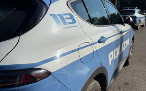 Violenza sugli animali a Bagnoregio: tre gatti colpiti da pallini di piombo