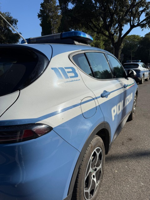 Violenza sugli animali a Bagnoregio: tre gatti colpiti da pallini di piombo