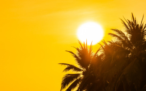 Caldo e solitudine: servizi per gli over 65 ad agosto