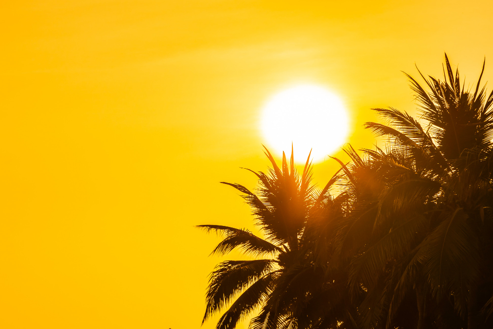 Caldo e solitudine: servizi per gli over 65 ad agosto