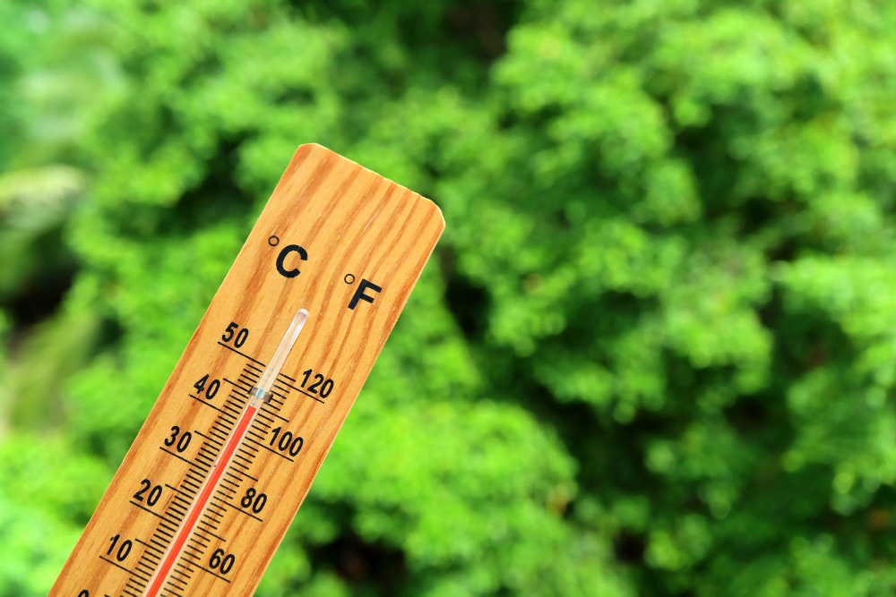 Caldo più lungo, meno piogge e nebbia quasi scomparsa