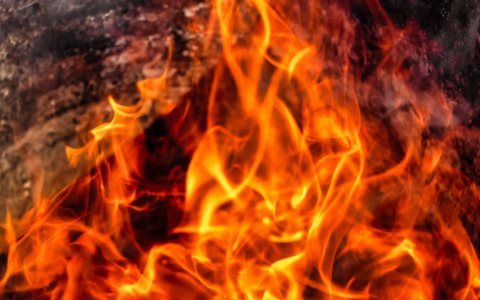 Un anno dopo l’incendio alla facoltà di Agraria: studenti raccontano