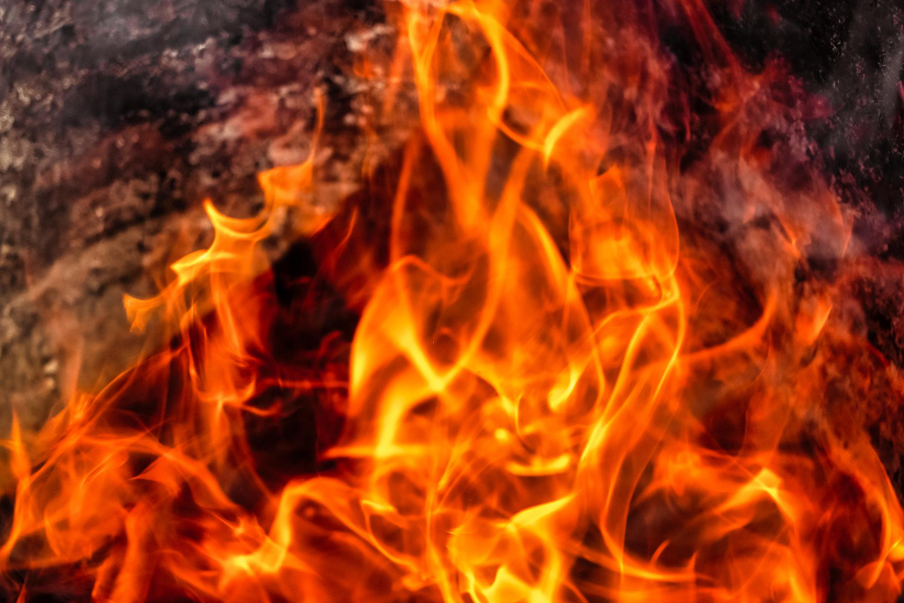 Un anno dopo l’incendio alla facoltà di Agraria: studenti raccontano
