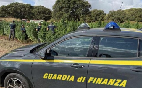 Guardia di Finanza: 165 denunciati per frodi fiscali nel Viterbese