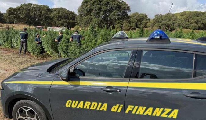 Guardia di Finanza: 165 denunciati per frodi fiscali nel Viterbese