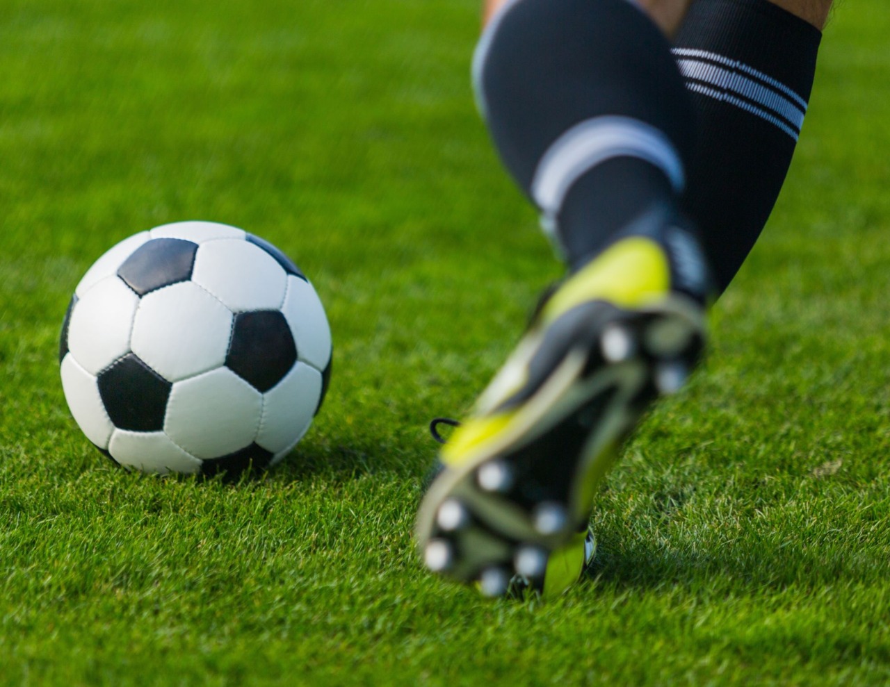 Lions Alto Lazio, primi test per Serie C e Serie A
